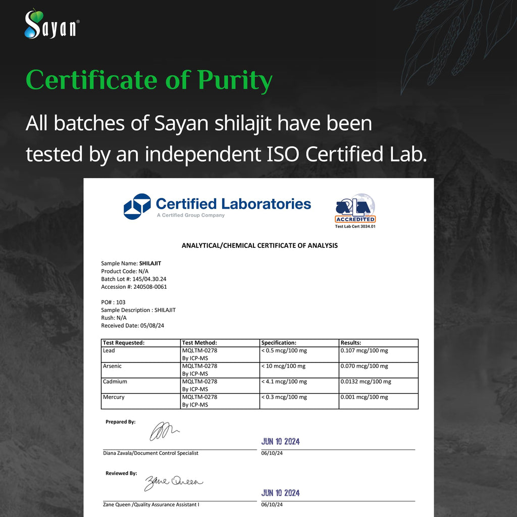 Sayan Shilajit Tablets 200mg Fulvic Acid - 60 Count - image 4