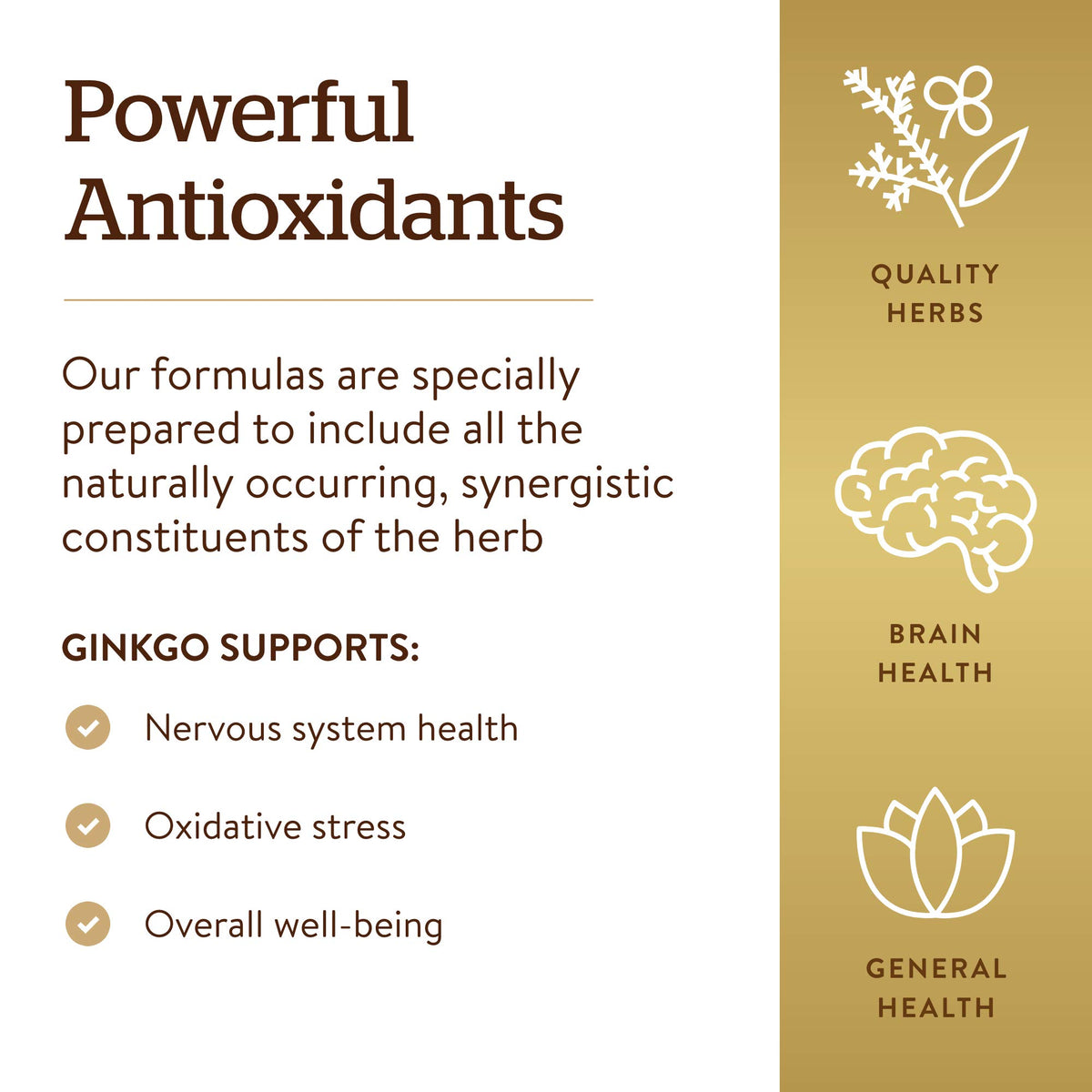 Solgar Super Ginkgo Herbal Extract - 120 Vegetable Capsules - image 5