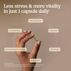 Terry Naturally Ashwagandha EP35 Extra Strength - 60 Capsules - image 4