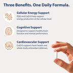 Dr’s Hope Dr's Hope CoQ10 100mg + PQQ Supplement - 60 Capsules - image 3