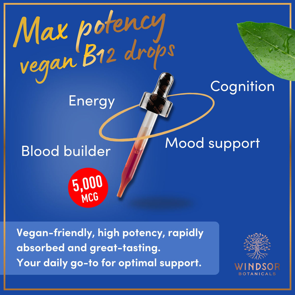 Windsor Botanicals Vegan Vitamin B12 Liquid Methylcobalamin 5000 mcg - 2 Fl Oz - image 2