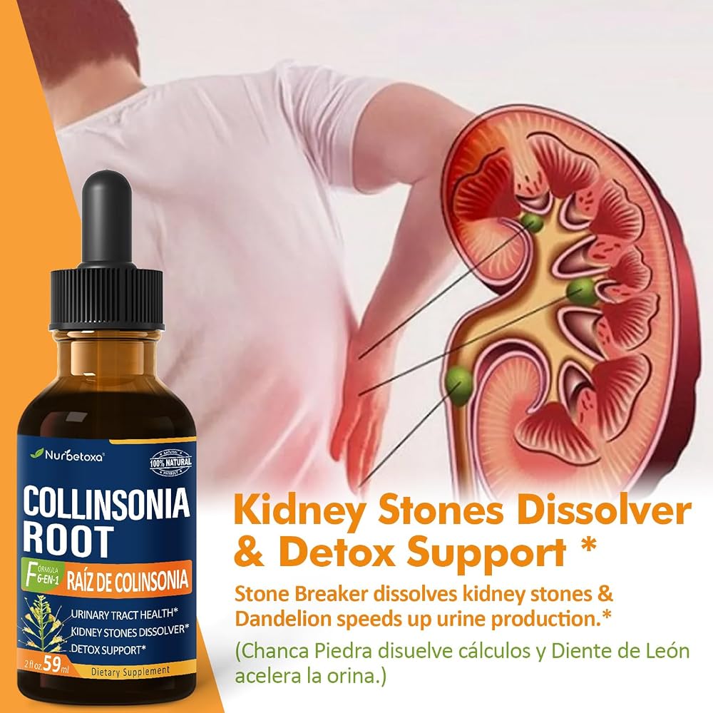 Nurbetoxa Collinsonia Stone Root Drops for Urinary Tract Health - 2 Fl Oz - image 3