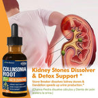 Nurbetoxa Collinsonia Stone Root Drops for Urinary Tract Health - 2 Fl Oz - image 3