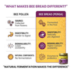 HONEYBEEZONE Raw Bee Bread Fermented Bee Pollen - 3.5 oz - image 3