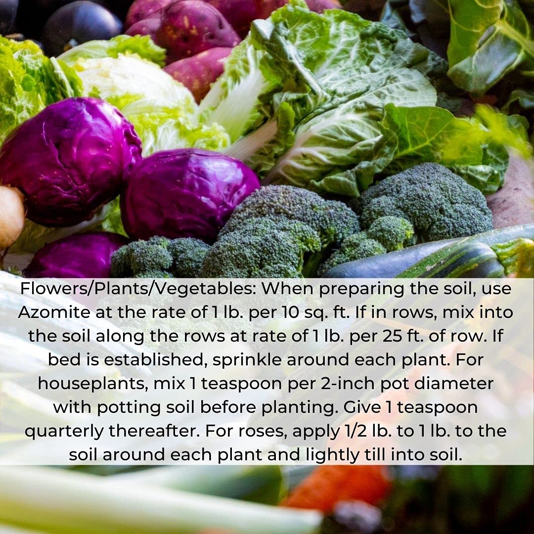 The Seed Supply Azomite Micronized Trace Mineral Powder - 4oz