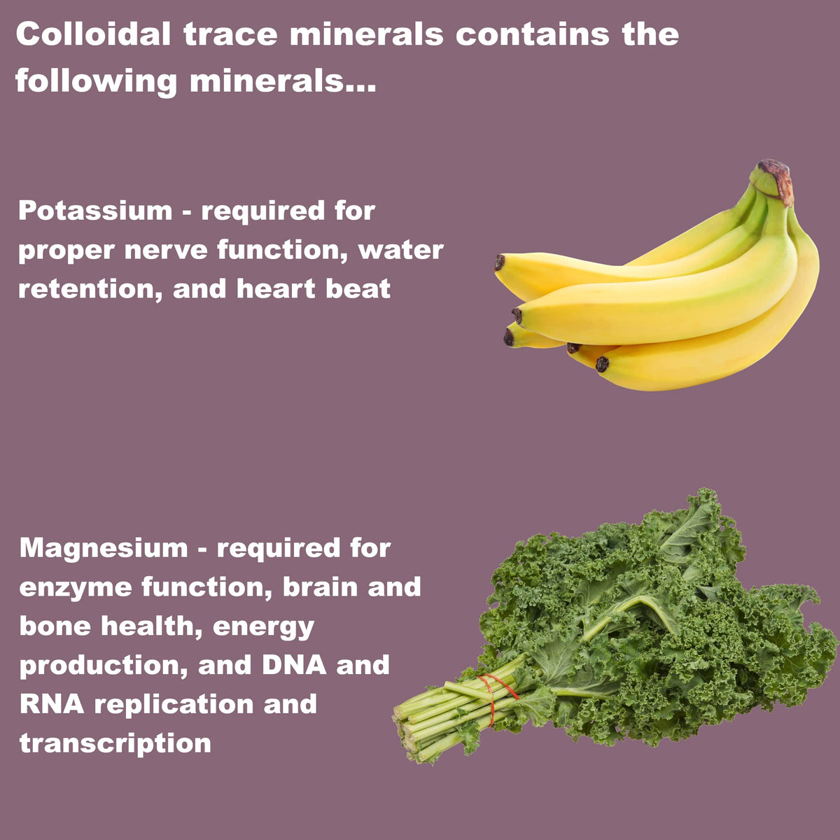 LifeLink Colloidal Trace Minerals - 100 Capsules - image 5