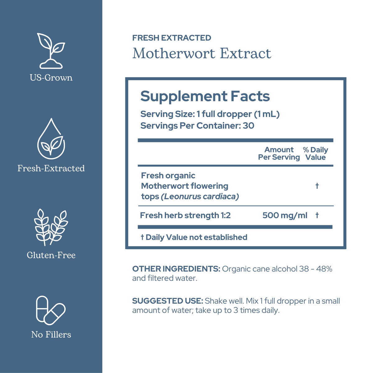 Eclectic Institute Motherwort Extract Circulatory Support - 2 fl oz - image 2