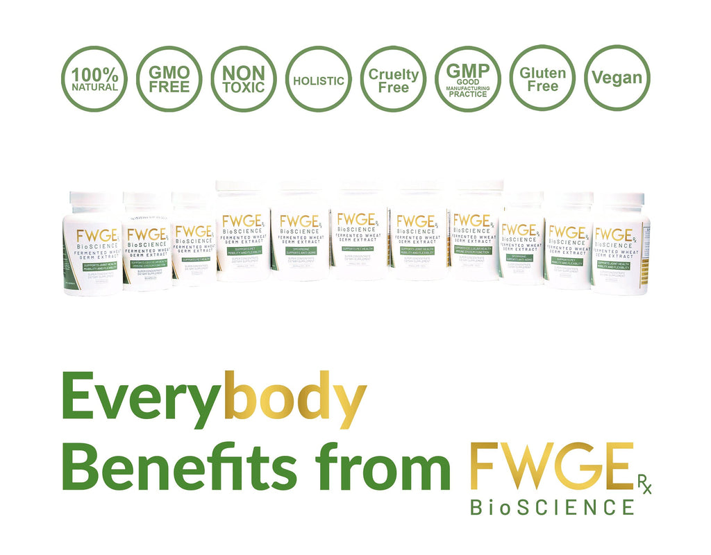 FWGE Rx BioSCIENCE Spermidine Fermented Wheat Germ Extract - 60 Capsules - image 4