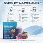 Ahai Life Full Spectrum Raw Sea Moss from St. Lucia - 4 oz - image 6