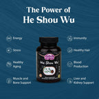 Dragon Herbs He Shou Wu Prepared Supplement for Energy & Aging - 100 Capsules - image 2