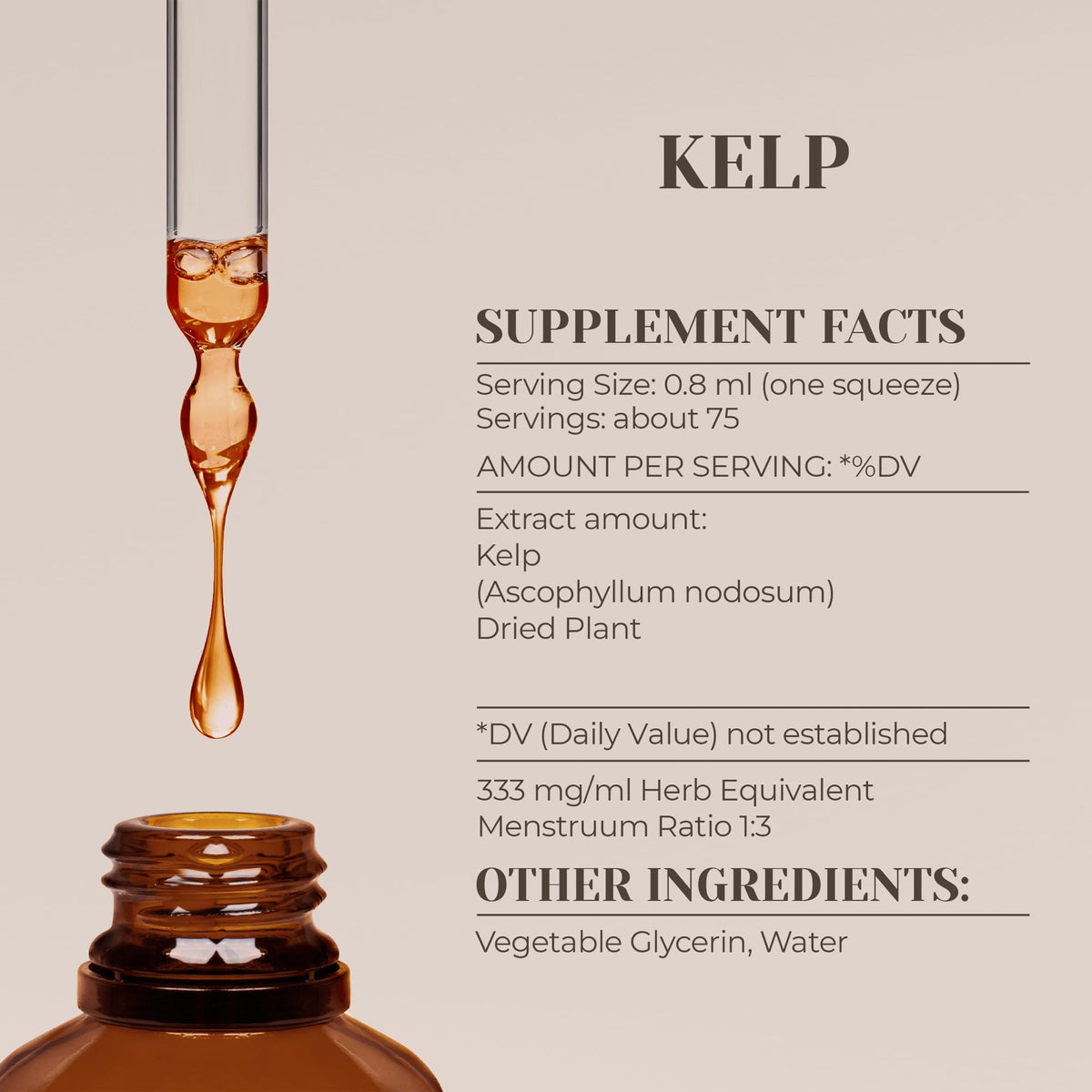 Garden Organics Kelp Alcohol-Free Natural Tincture Extract
