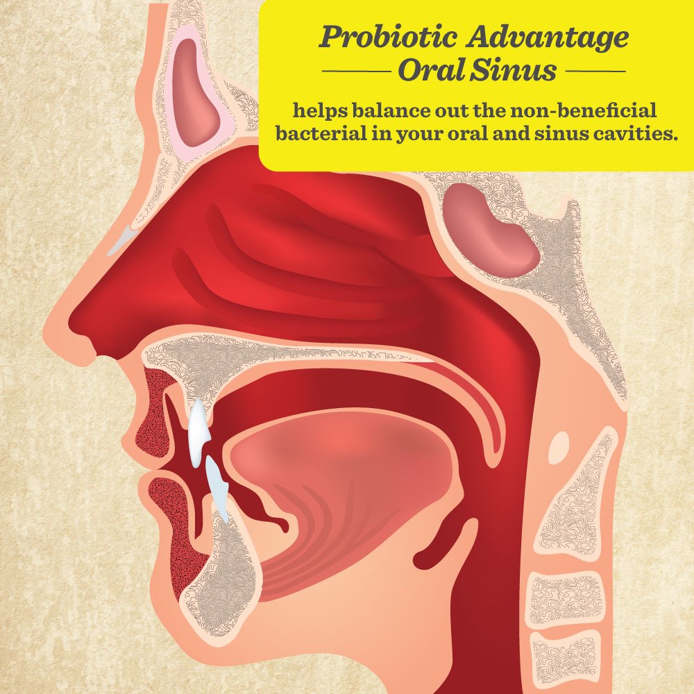 Healthy Directions Probiotic Advantage Oral Sinus Probiotics - 50 Lozenges - image 4
