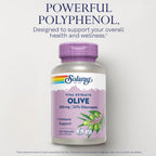 SOLARAY Olive Leaf Extract 250mg Wellness Support - 120 Vegetarian Capsules - image 3