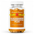 Bernard Jensen's Glucosamine Chondroitin MSM - 90 Capsules