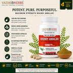 Vadik Herbs Organic Bhumy Amalaki Liver Support - 100 Capsules - image 8