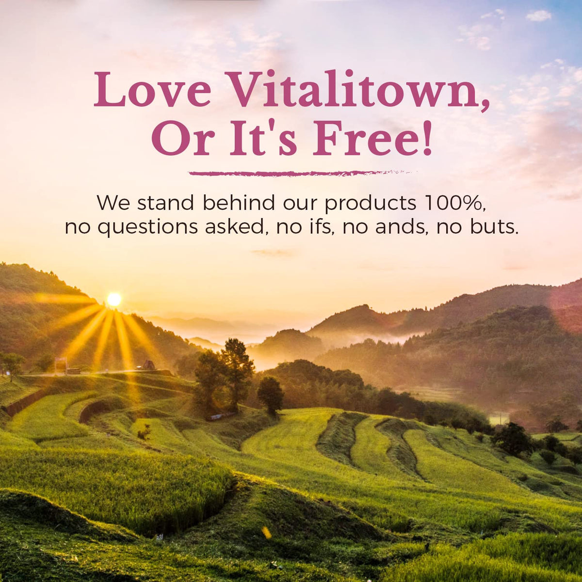 Vitalitown Probiotics for Women 120 Billion CFUs - 30 Capsules - image 9