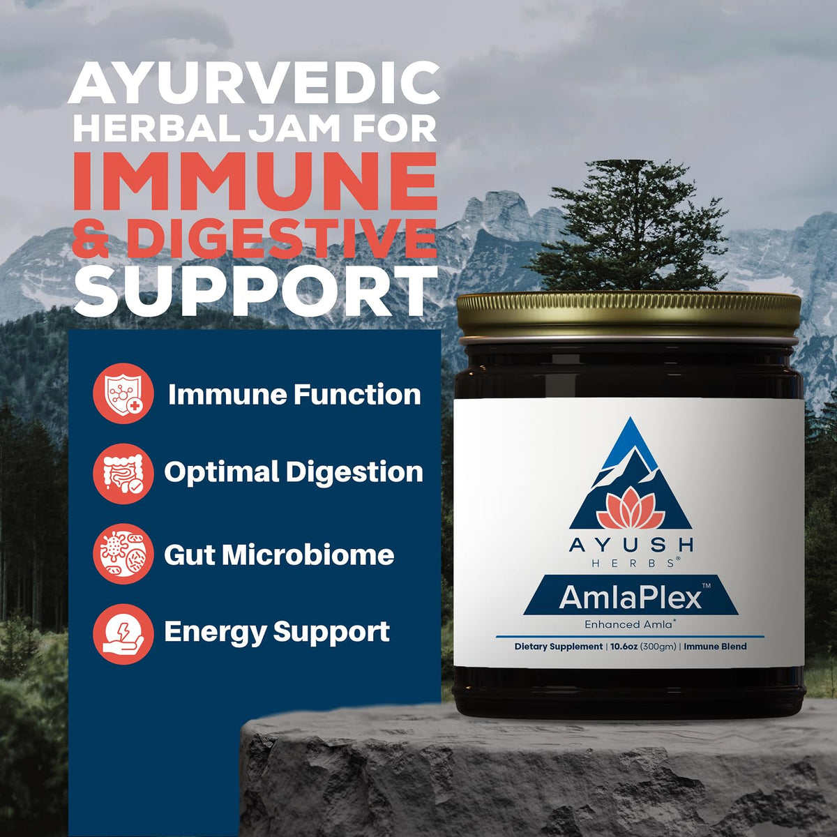 Ayush Herbs AmlaPlex Chyavanprash Immune Support - 30 Servings - image 2