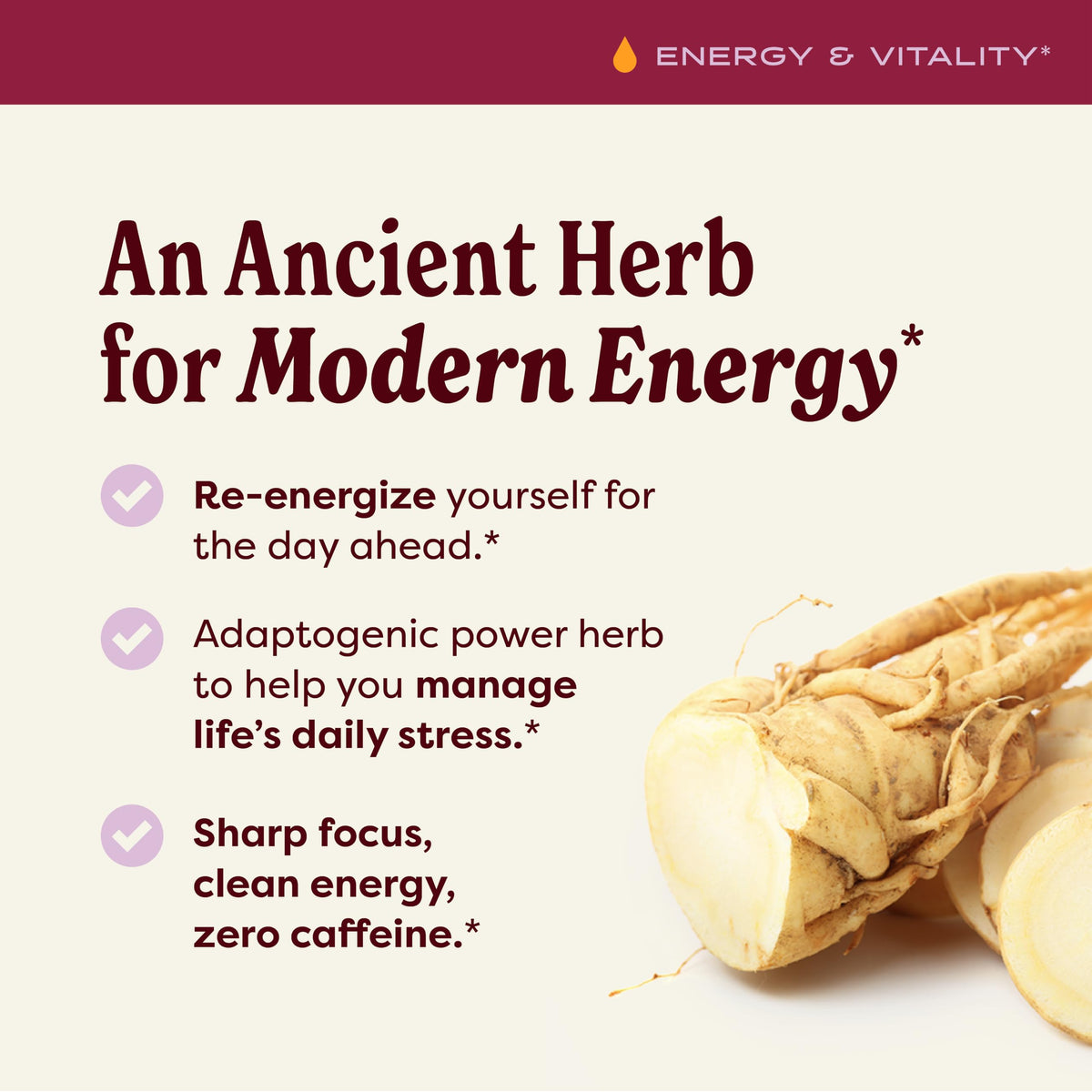 Herb Pharm Alcohol-Free Asian (Panax) Ginseng Glycerite for Energy