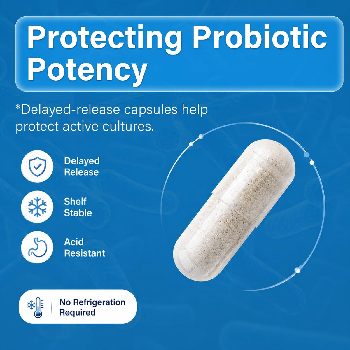 Proriginal PLUS+ Probiotic 120 Billion CFU 36 Strains - 30 Capsules - image 5