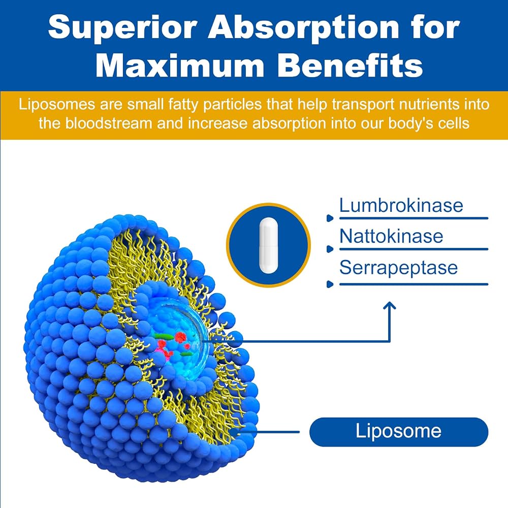 Spliferkou Liposomal Lumbrokinase Nattokinase Serrapeptase Complex - 60 Capsules - image 3