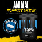 Animal