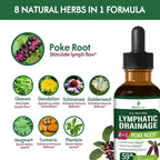 Selvaherb Poke Root Lymphatic Drainage Drops - 2 Fl Oz - image 4