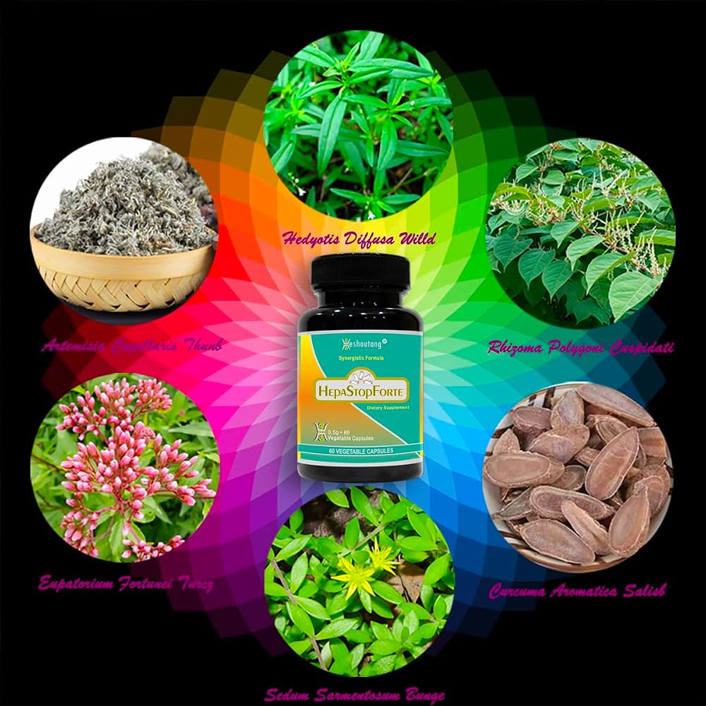 Heshoutang HepaStopForte Herbal Liver Cleanser - 60 Vegetarian Capsules - image 3