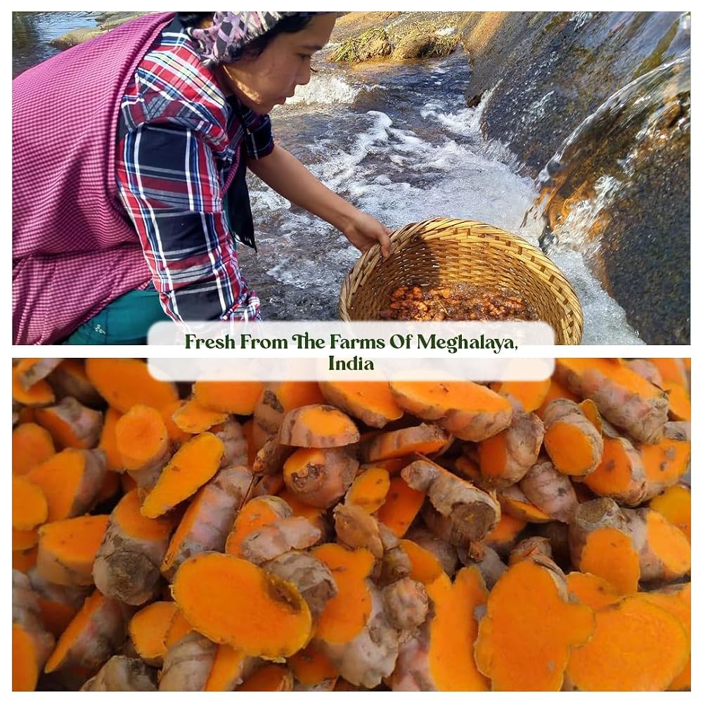 Mt. Meru Medicines Lakadong Turmeric Powder - 100g - image 4