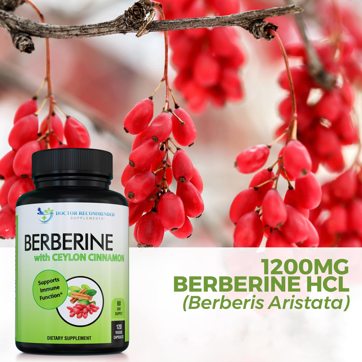 DOCTOR RECOMMENDED SUPPLEMENTS Berberine with Ceylon Cinnamon