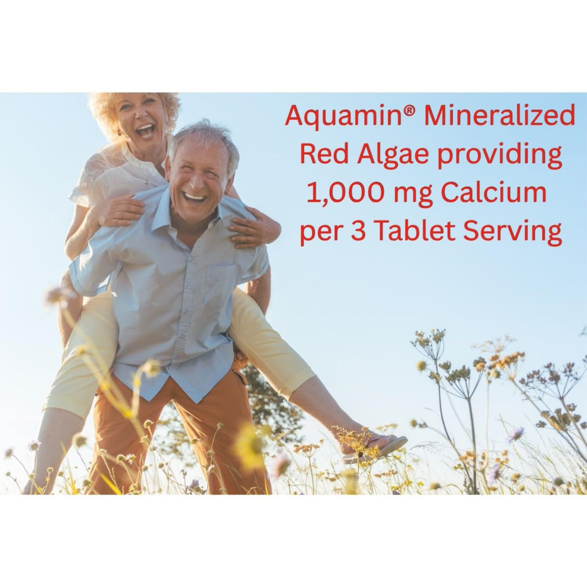 Holly Hill Health Foods Algae Based Calcium 1,000 mg
