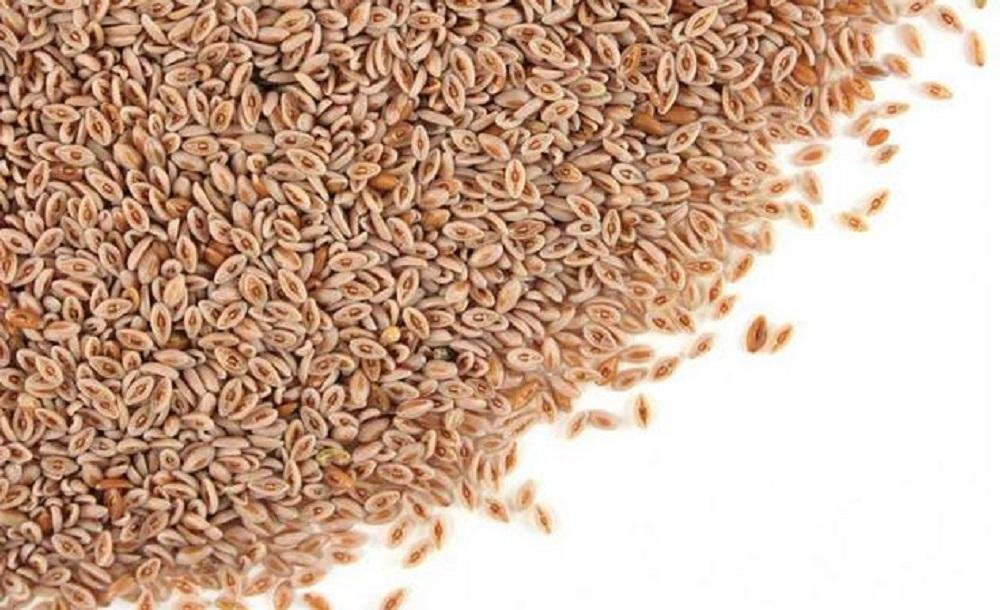Stone Creek Health Essentials Psyllium Seed Husk Whole - 1 lb