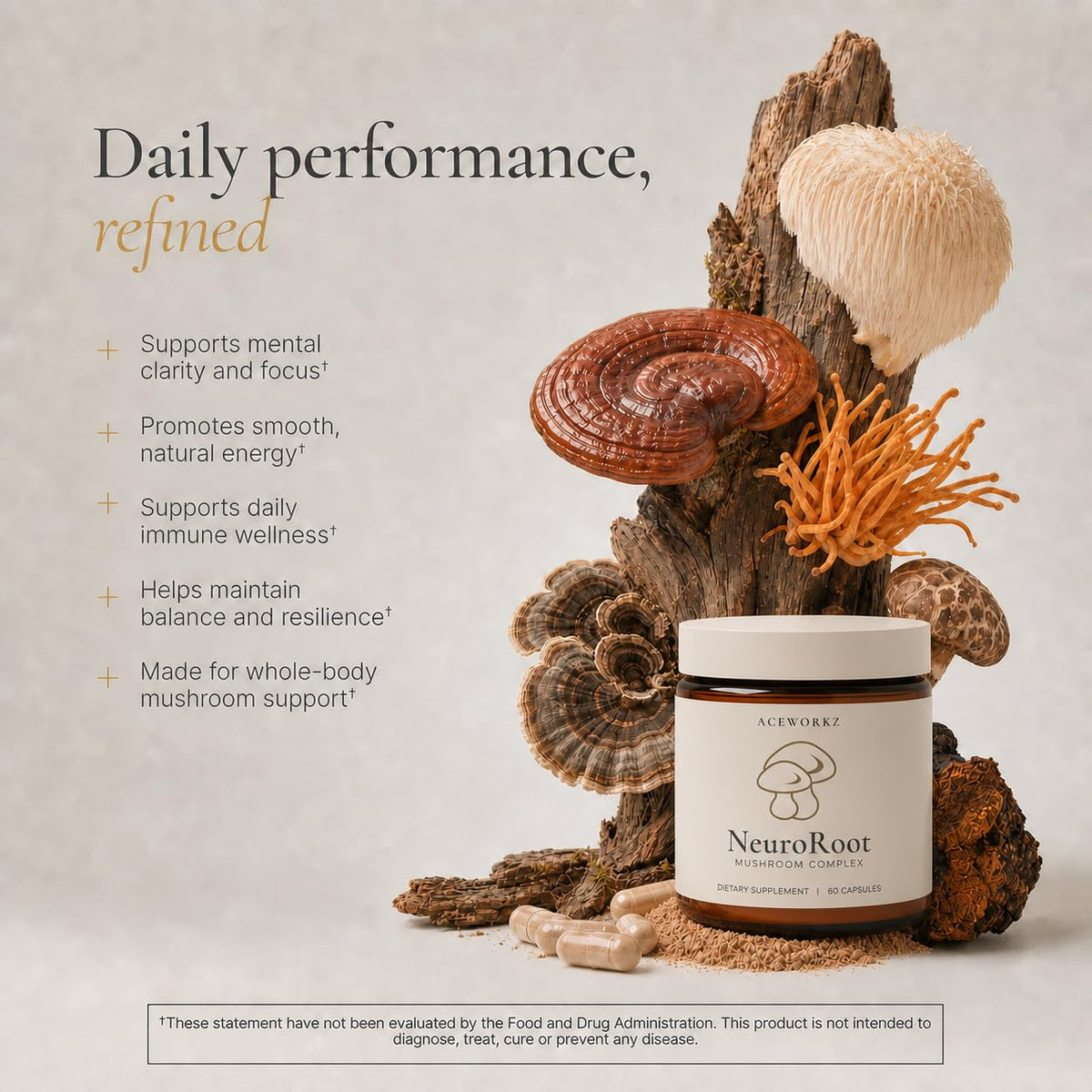ACEWORKZ NeuroRoot Organic 10 Mushroom Complex – Focus & Immune Support - image 3