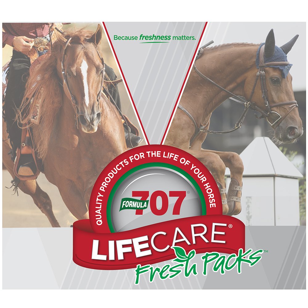 Formula 707 Joint 6in1 + Daily Essentials Equine Supplement - 28 Day - image 5