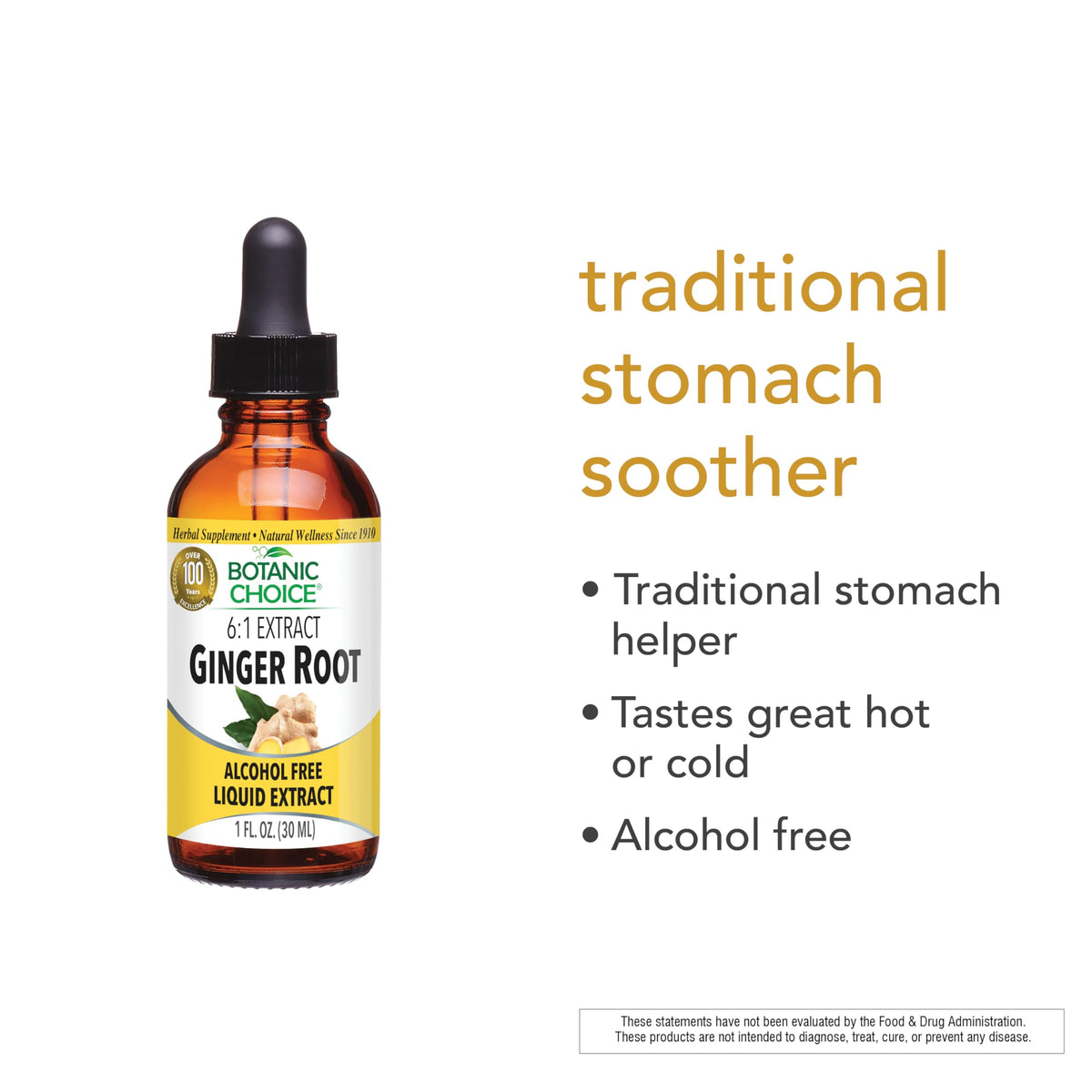 Botanic Choice Ginger Root Liquid Extract Alcohol Free - 1 fl oz - image 4