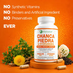 Wiseceutical Max Strength Chanca Piedra Kidney & Gallbladder Formula - image 5