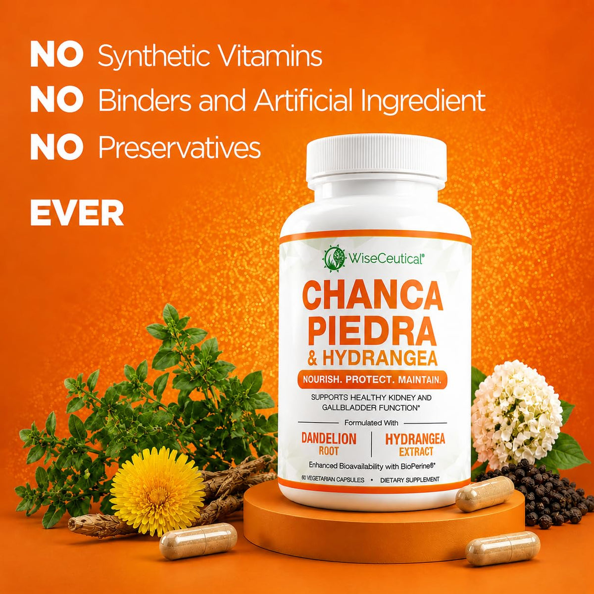 Wiseceutical Max Strength Chanca Piedra Kidney & Gallbladder Formula - image 5