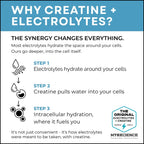 MYOXCIENCE Electrolyte STIX