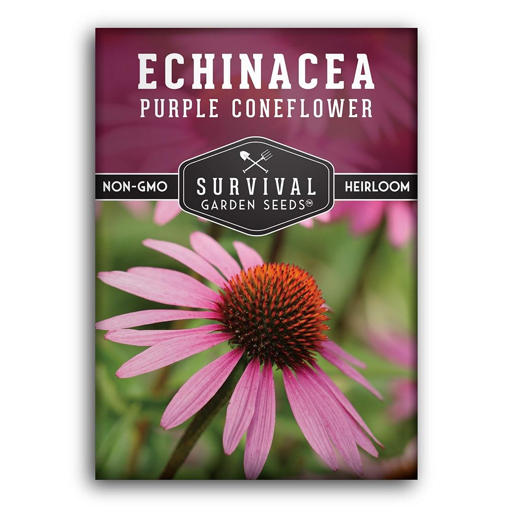 Survival Garden Seeds Purple Coneflower Echinacea Purpurea - 1 Pack