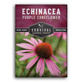 Survival Garden Seeds Purple Coneflower Echinacea Purpurea - 1 Pack