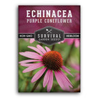 Survival Garden Seeds Purple Coneflower Echinacea Purpurea - 1 Pack