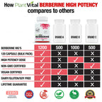 Plantvital PV Berberine Parent