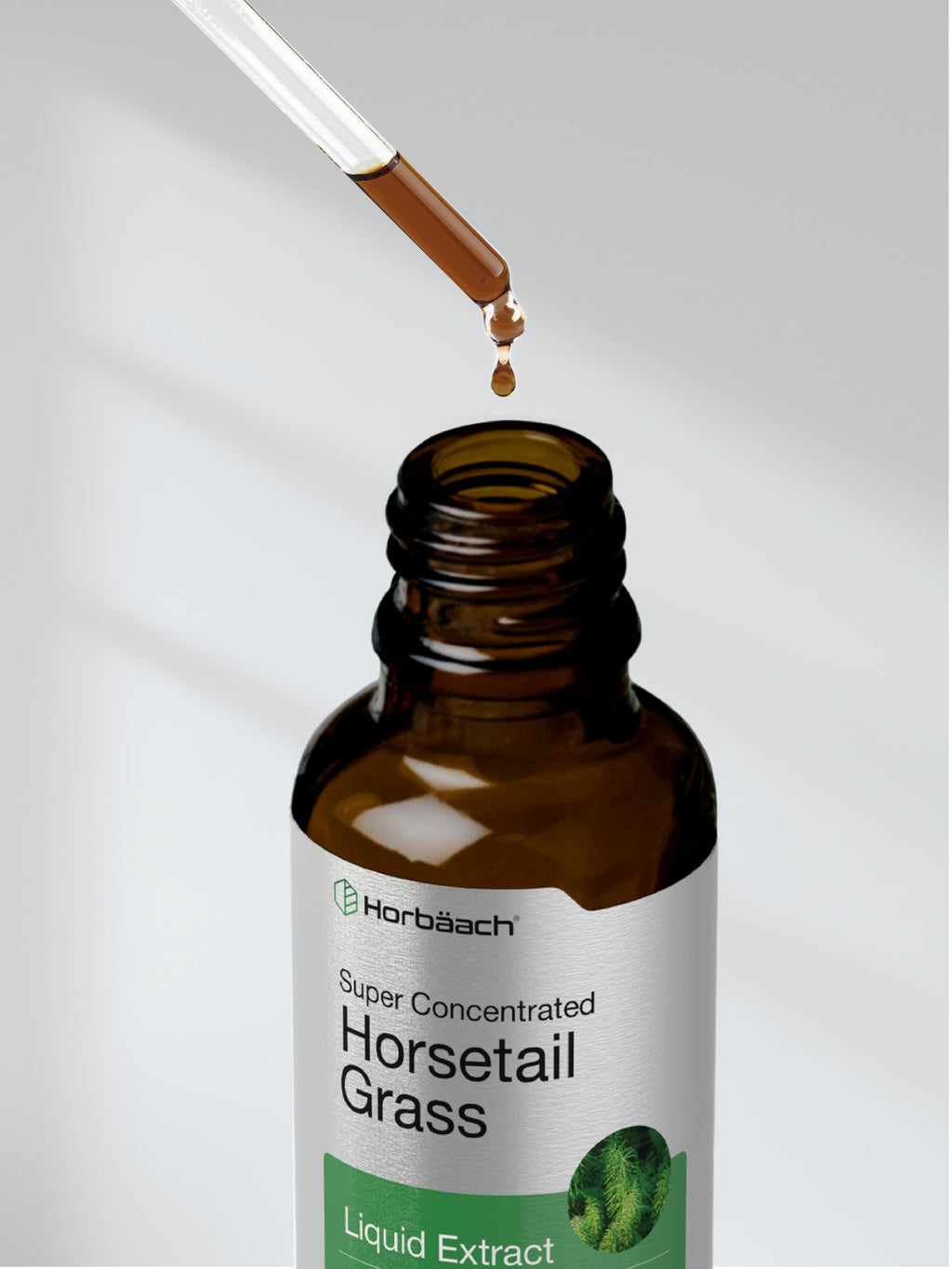 Horbäach Horsetail Herb Liquid Extract Alcohol Free - 2 fl oz - image 8