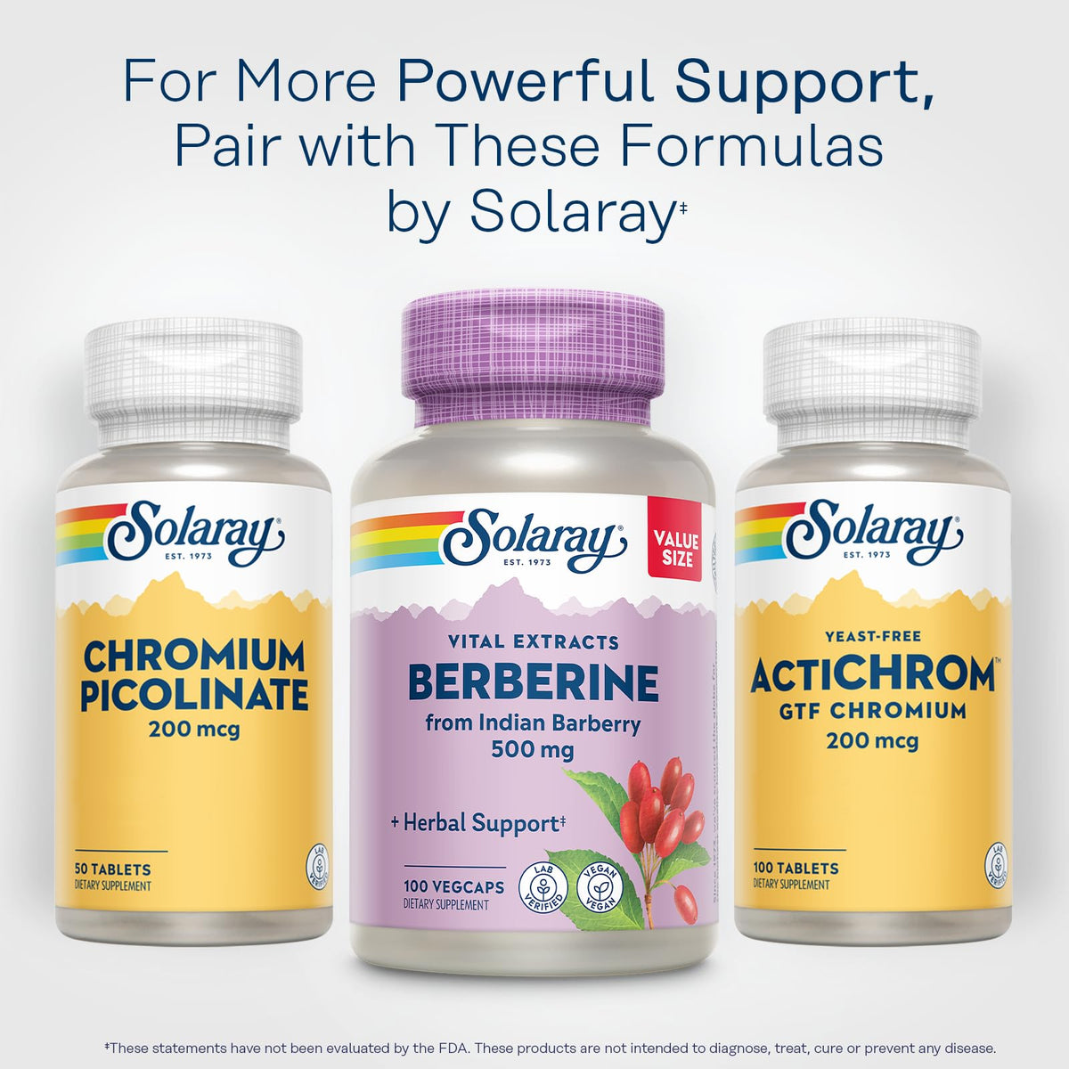 SOLARAY Berberine Extract 500 mg - 100 Vegetarian Capsules - image 6