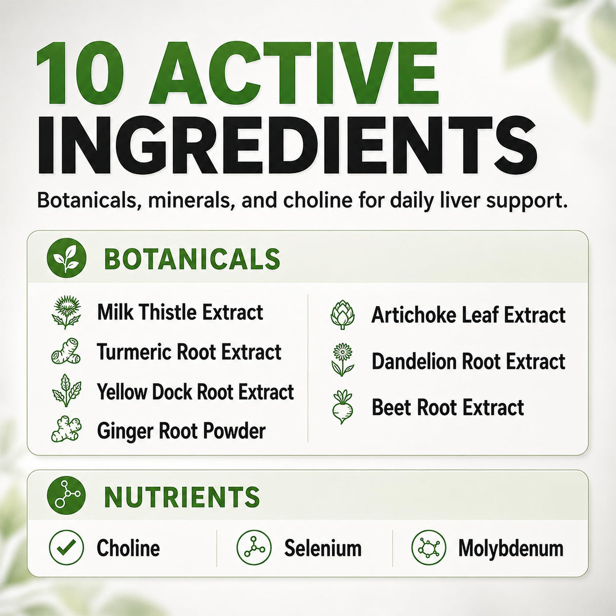 Balance ONE Liver Support Supplement with Milk Thistle - 60 Capsules - image 3