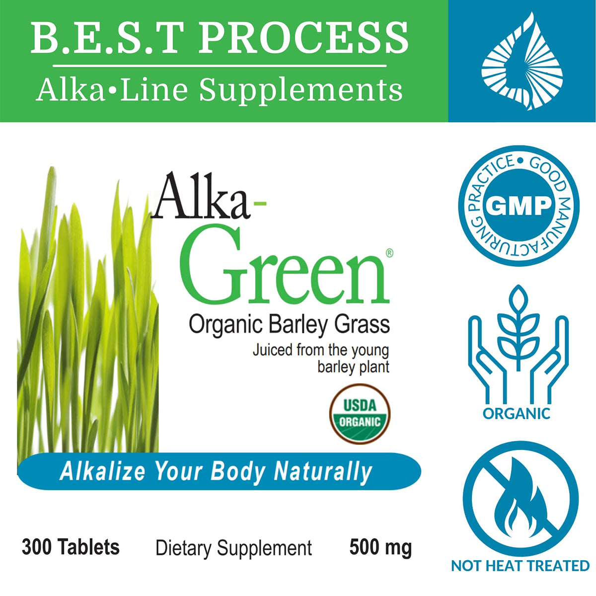 Morter Alka-Green 100% Organic Barley Grass Juice Tablets - 300 Tabs - image 2