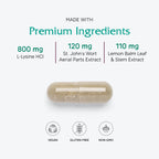 Vitanica Lysine Extra Immune Support - 60 Capsules - image 4