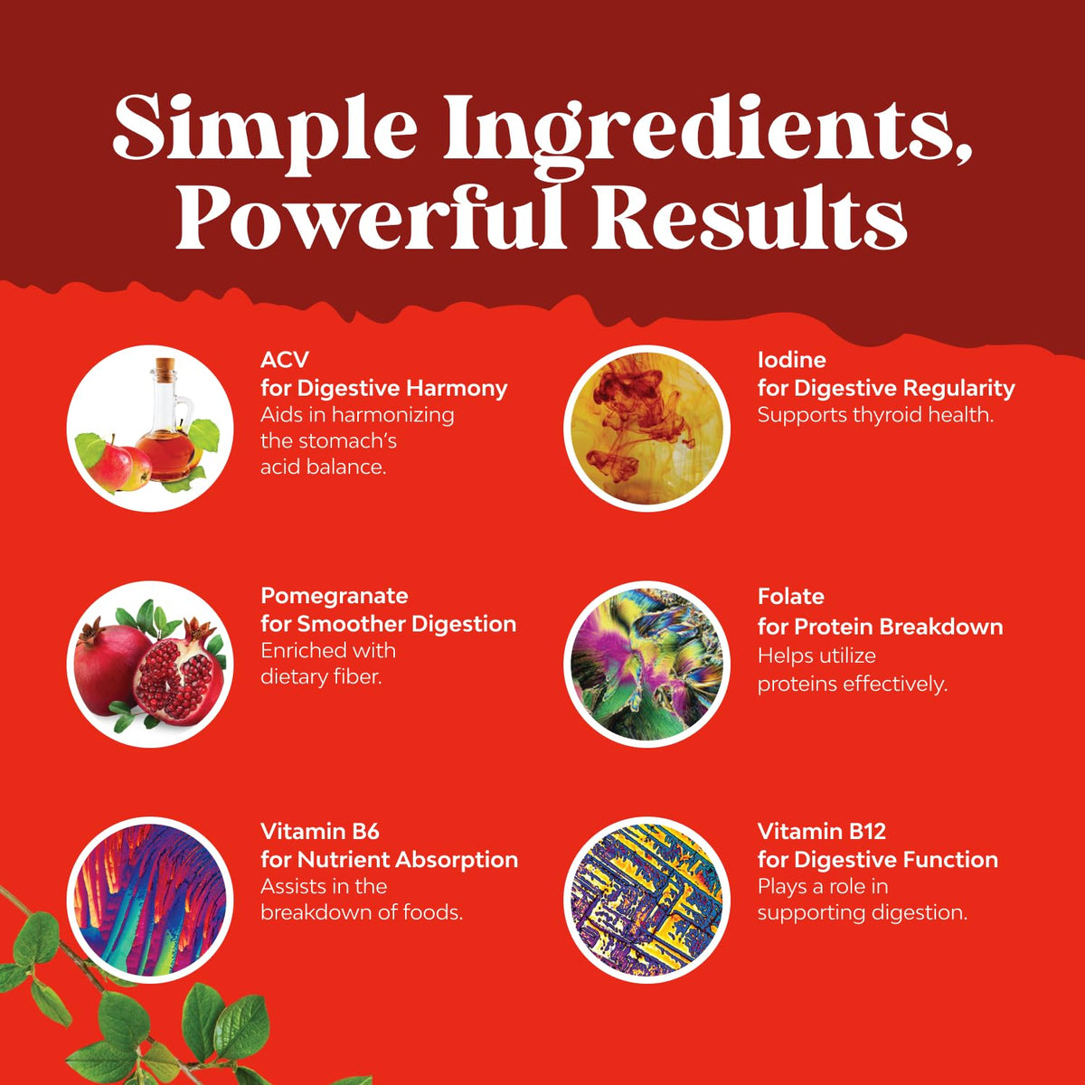 Natures Craft Apple Cider Vinegar Gummies with B12 - Energy Support - 60 Count - image 3