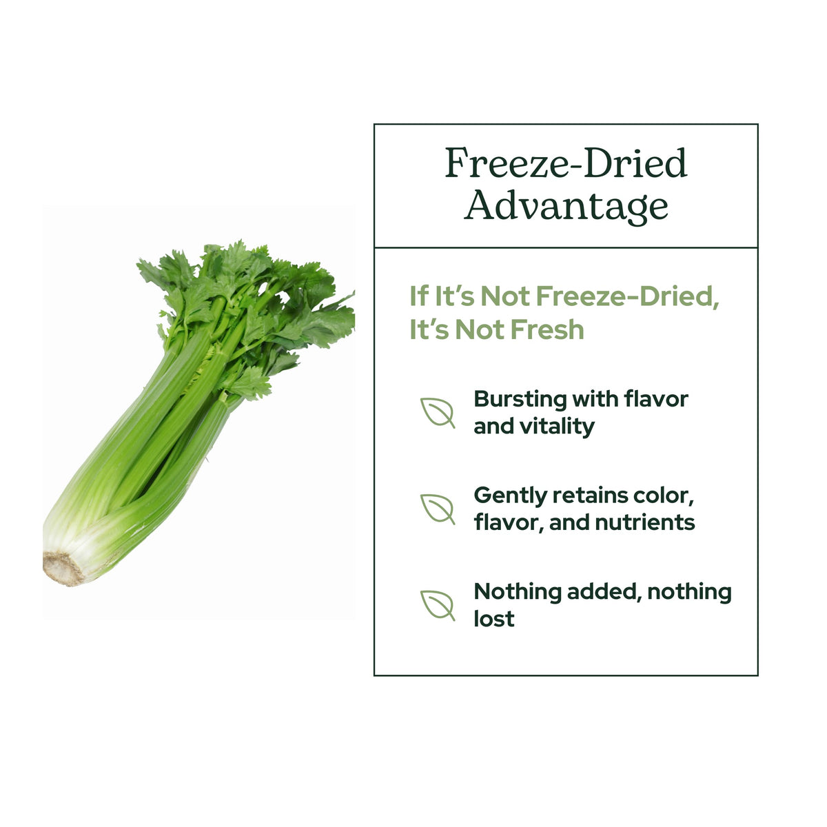 Eclectic Herb Organic Celery Juice Powder - 90 g - image 5