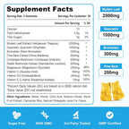 Vazatisi Sugar Free Mullein Gummies with Quercetin