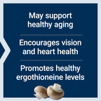 Life Extension Essential Youth L-Ergothioneine - 30 Capsules - image 4